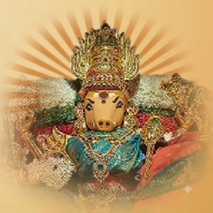 Varahi Guptha Navaratrhulu (Satha Chandi Yagam)
